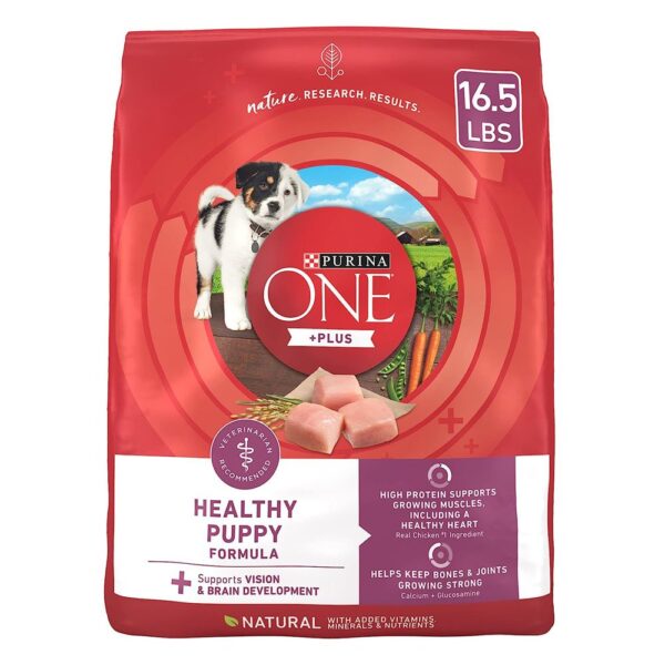 Purina ONE Plus Healthy Puppy Formula High Protein