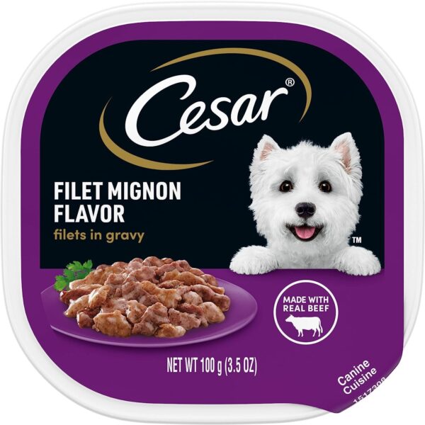 CESAR Adult Soft Wet Dog Food Filets in Gravy
