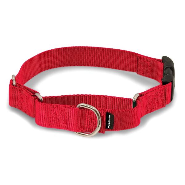 PetSafe Martingale Collar with Quick Snap Buckle
